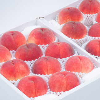 5.0kg(15~22個)×1箱【農園の朝採り桃】